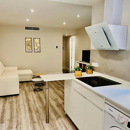 Apartment Gran Capitan